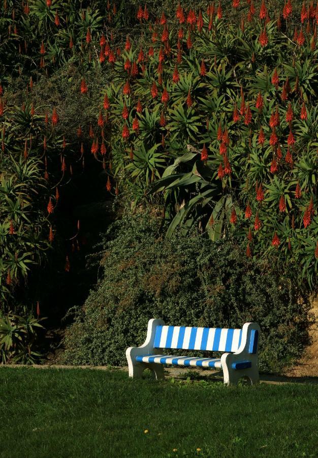 Azenhas Do Mar Cottage Sintra Exterior photo